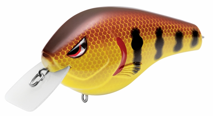 Top lures for fall trophy bass